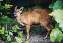 是體驗、是教育 還是干擾?