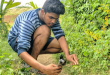 20歲男大生手機就能拍出「微距昆蟲攝影」 唯美照粉絲驚嘆:以為是單眼拍的!